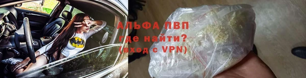 шишки Абаза