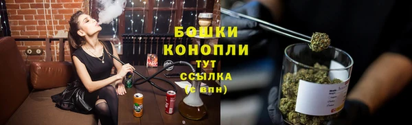 шишки Абаза