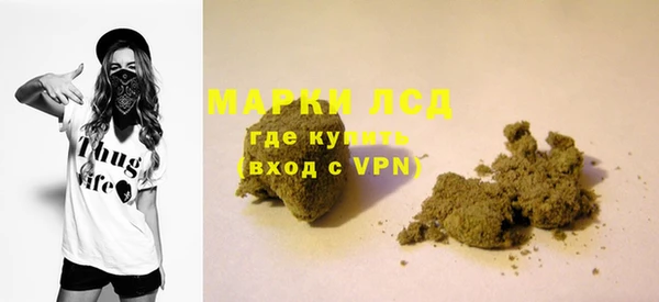 шишки Абаза