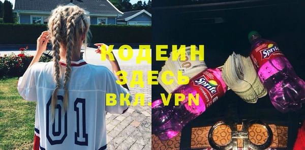 шишки Абаза