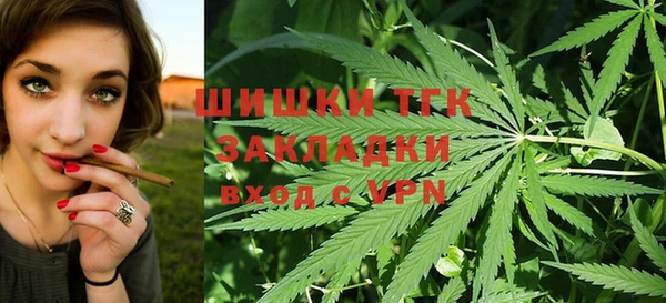 сатива Инсар