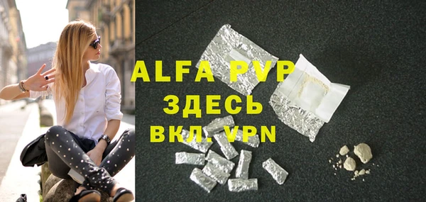 шишки Абаза