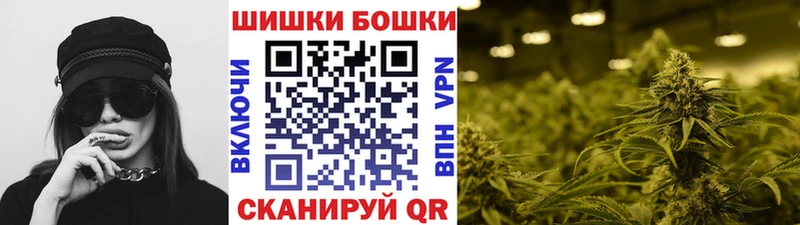 где купить наркотик  Калачинск  Бошки марихуана план 